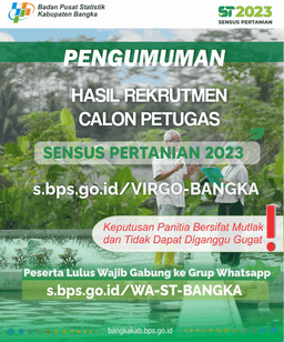 Pengumuman Rekrutmen Calon Petugas ST2023 BPS Kabupaten Bangka